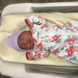 Alaya